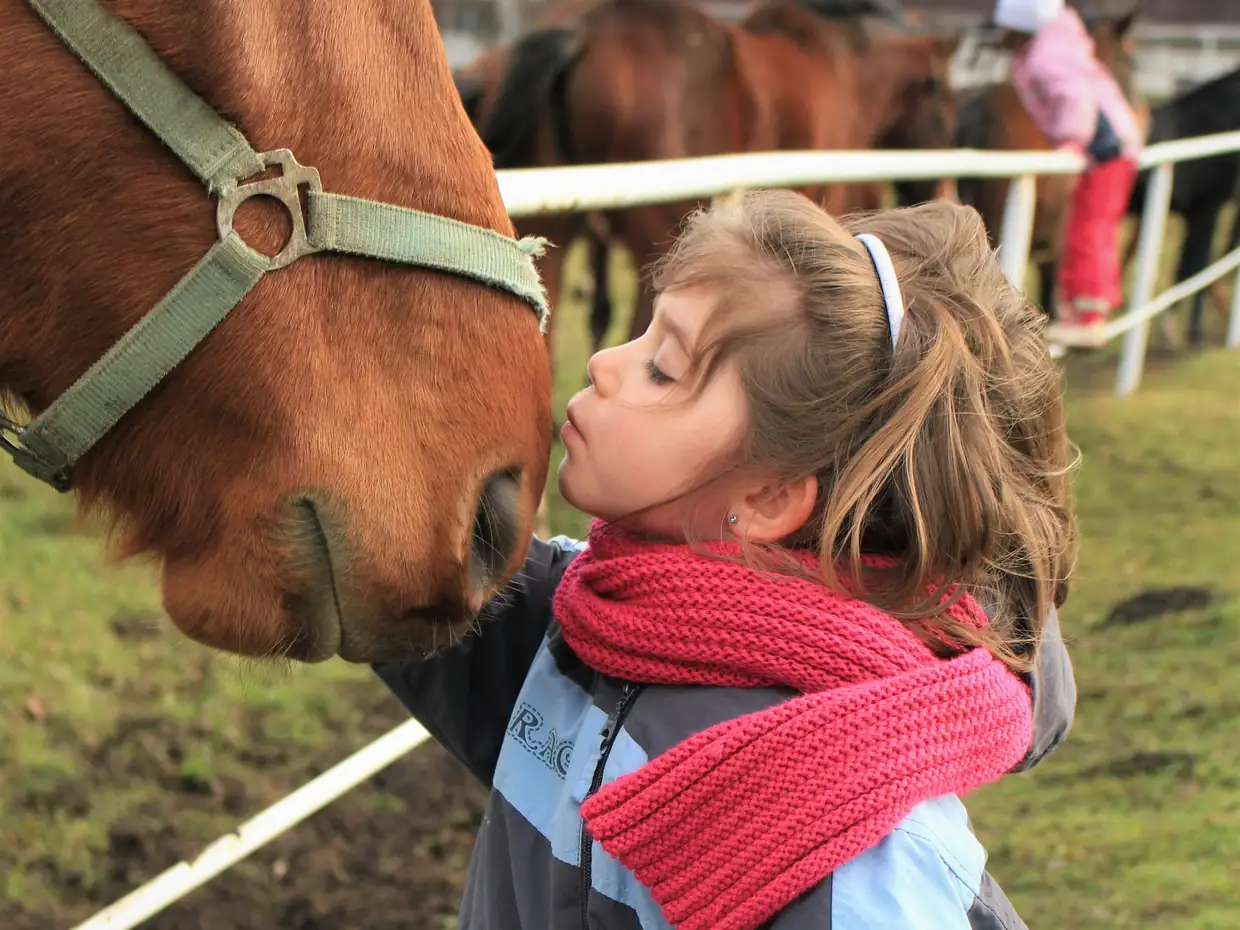 Kind und Pferd Stirn an Stirn, Kind mit rotem Schal