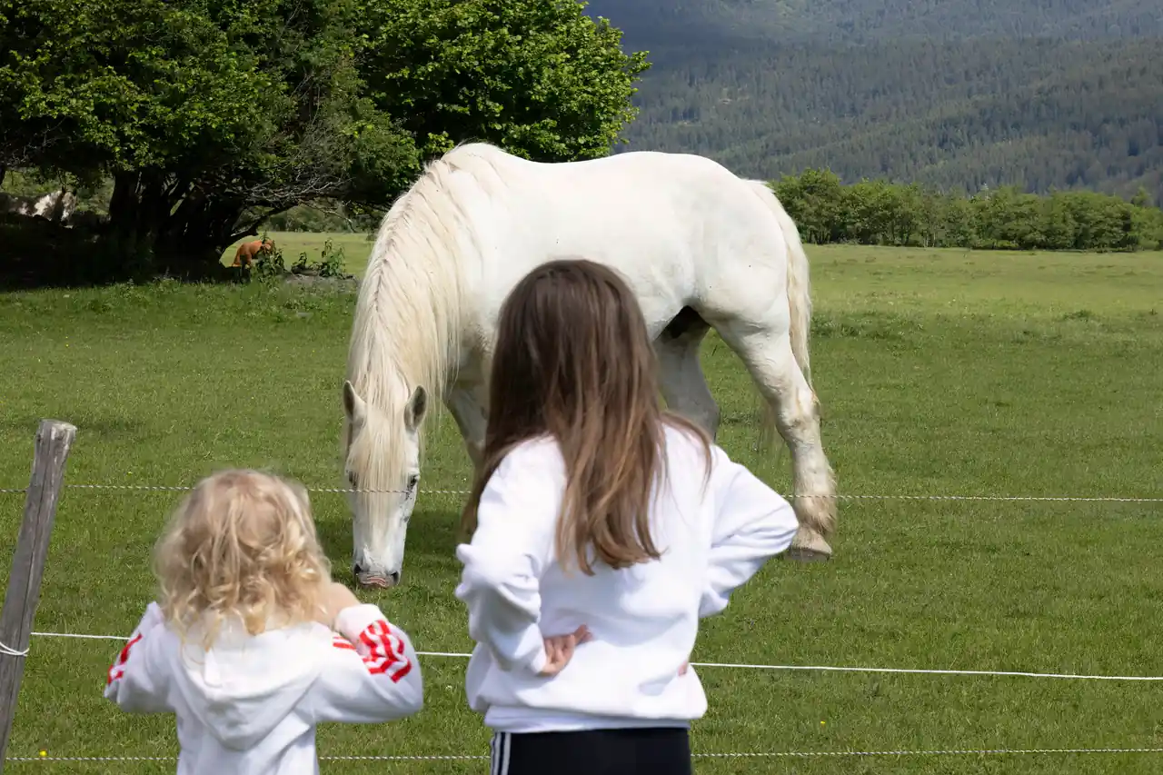 Zwei Kinder mit einem weißen Pferd auf der Weide